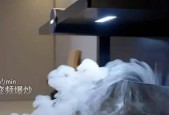 集成灶烟道漏油的维修方法（解决集成灶烟道漏油问题的技巧与步骤）
