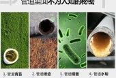 洗衣机管子上的青苔问题解决方法（有效清除洗衣机管道上的青苔污渍）