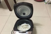 电饭煲预约灯亮了原因与解决方法（探究电饭煲预约灯亮的原因及有效解决办法）