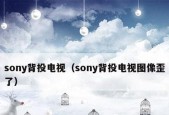 索尼背投电视机故障代码解析（深入了解索尼背投电视机故障代码及解决方法）