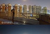 手机拍照架1.2米设置方法是什么？如何调整角度和位置？