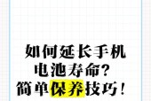 苹果移动办公电源的使用技巧是什么？使用中如何延长电池寿命？