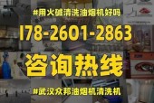选择安全有效的油烟机清洗剂（了解油烟机清洗剂的毒性及如何选择合适的清洗剂）