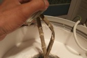 电热水器（揭秘电热水器的工作原理及加热速度）