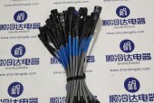女生福利（让你在游戏世界中尽情享受的精彩冒险）