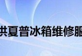 解决夏普冰箱显示E1故障的方法（轻松应对夏普冰箱E1故障）