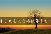 忘记电脑屏幕锁密码怎么办（解除电脑屏幕锁密码的有效方法及注意事项）