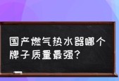 火王热水器常见故障维修指南（解决您家火王热水器的问题）