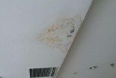 中央空调关机后为什么会发霉？如何预防和解决？