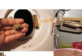 快速清洁热水器的方法（轻松解决热水器清洗难题）
