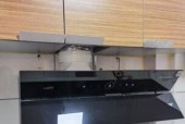 新式油烟机的清洗方法（轻松高效去除油烟机油垢）