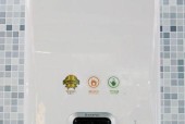 阿里斯顿燃气热水器出现E1故障的原因及解决方法（了解E1故障及其影响）