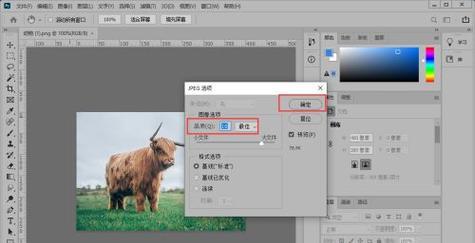 如何将照片转为JPG格式（简单教程帮你快速转换照片格式）  第1张