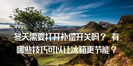 冰箱补偿开关的使用指南（解决冰箱开关问题）  第1张