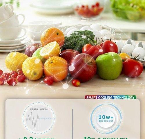 解决博世冰箱E01故障的实用指南（快速排除博世冰箱E01故障的方法与注意事项）  第1张