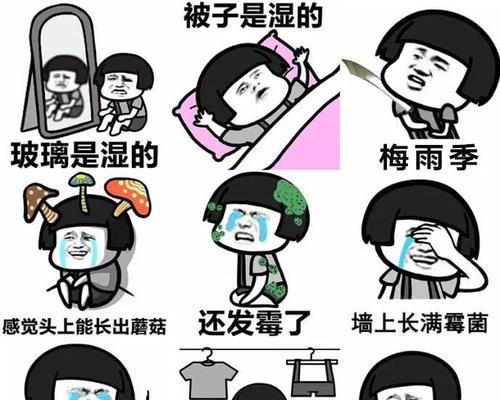 解决空调恶臭味的方法（如何有效清除空调内的异味）  第1张