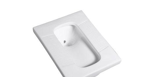 以蹲便器为主题的品牌选择指南（品质、实用、便宜、耐用、安全）  第1张