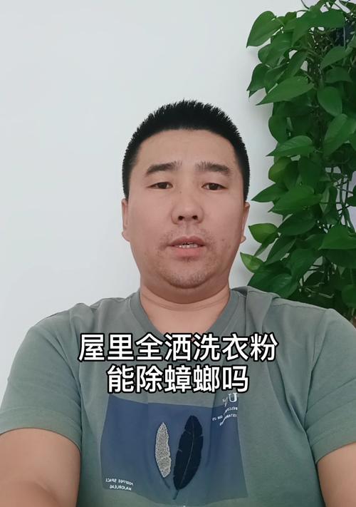 洗衣机遭遇蟑螂的应对方法（有效防治蟑螂）  第3张
