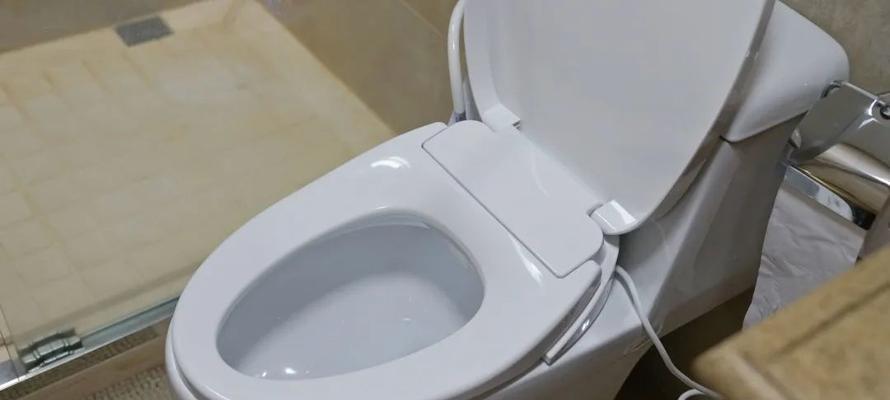 贝朗马桶反味原因分析及处理方法（解决马桶异味的有效措施）  第1张