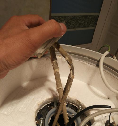 电热水器（揭秘电热水器的工作原理及加热速度）  第1张