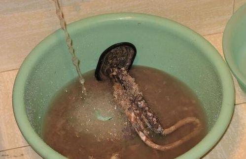 热水器清洗后水变黄的原因及解决方法（探究热水器清洗后水变黄的可能原因）  第3张