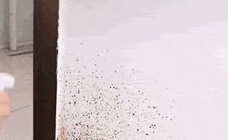 拯救你的电冰箱——去除索伊冰箱内霉菌的方法（电冰箱内部霉菌清除）  第3张