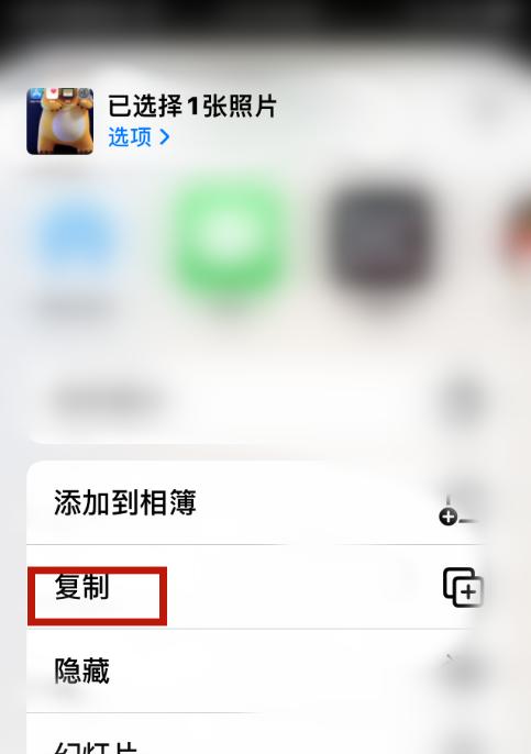 苹果手机拍照效果如何复制？  第3张
