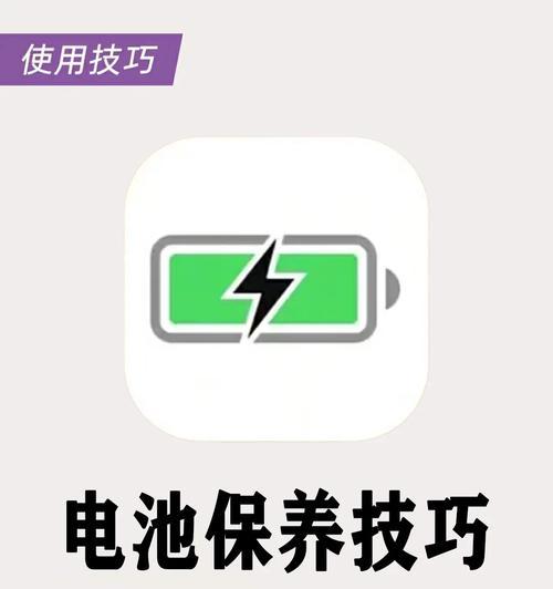 蓝山电瓶外放充电器使用方法是什么？充电时有哪些注意事项？  第3张
