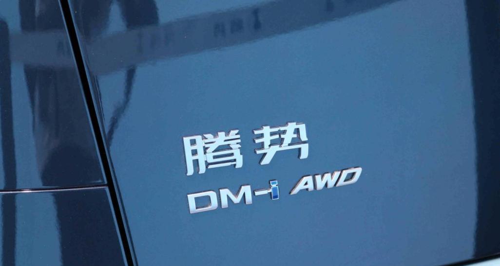 沙漠电车充电器使用方法是什么？使用时应注意什么？  第1张