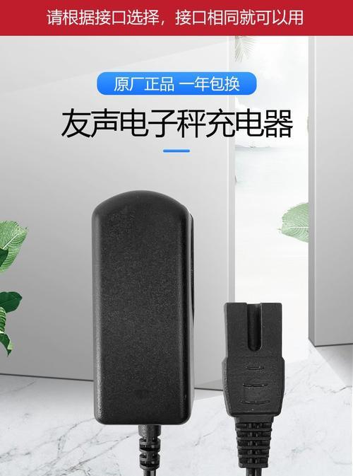 秤上的充电器外观特征是什么？  第1张