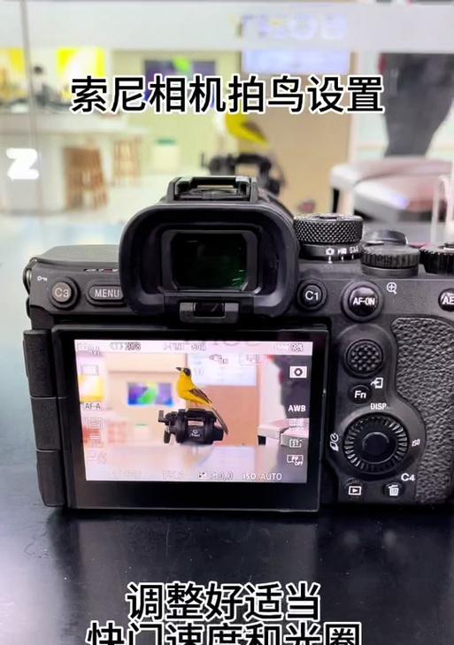 索尼相机照片传输模糊如何解决？传输过程中应注意什么？  第3张